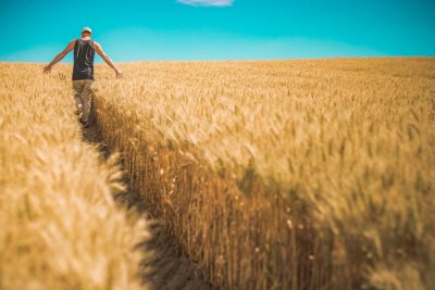 CEREALS AND THEIR PREPARATION