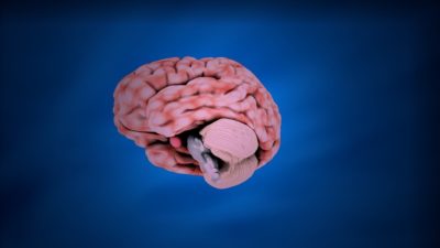 CEREBRAL PALSY
