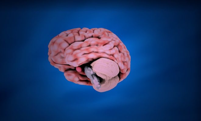 CEREBRAL PALSY
