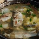 FIVE FISH SOUPS