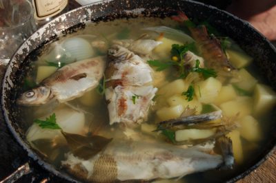 FIVE FISH SOUPS