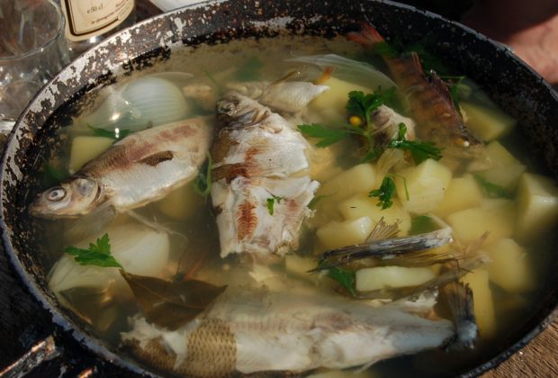 FIVE FISH SOUPS