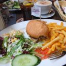 IMPORTANCE OF FOOD ELEMENTS
