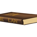 LAWS OF MAGNETIC DEVELOPMENT
