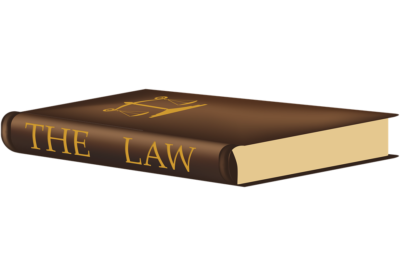 LAWS OF MAGNETIC DEVELOPMENT