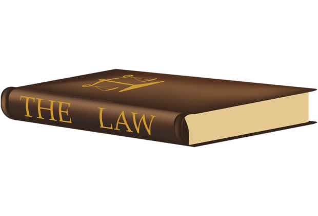 LAWS OF MAGNETIC DEVELOPMENT