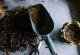 MAKING A GARDEN