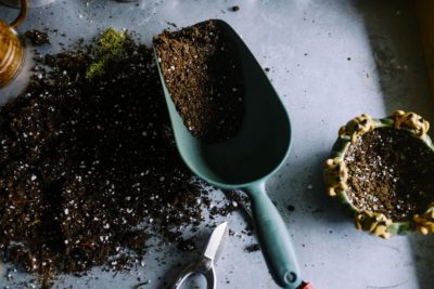 MAKING A GARDEN