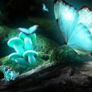 Magic Mushroom And Its Beneficial Uses
