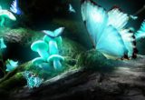 Magic Mushroom And Its Beneficial Uses