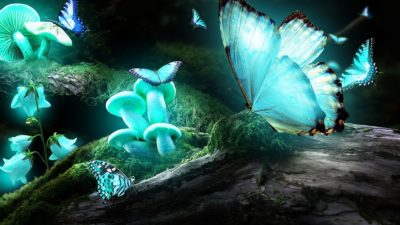 Magic Mushroom And Its Beneficial Uses