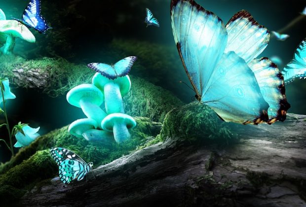 Magic Mushroom And Its Beneficial Uses