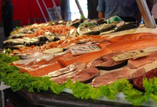 NINE SALMON RECIPES