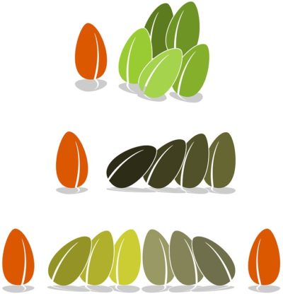 Sensi Seeds Best for Cultivation