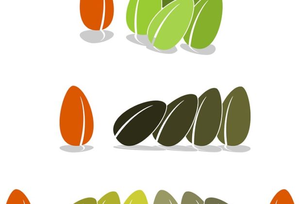 Sensi Seeds Best for Cultivation