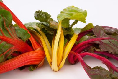 VEGETABLE CULTURE